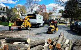 Artificial Turf Installation in Stewart Manor, NY