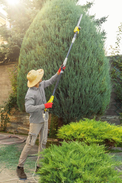 Best Grass Overseeding  in Stewart Manor, NY